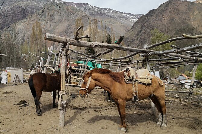 private-guided-tour-in-maipo-canyon-with-winery