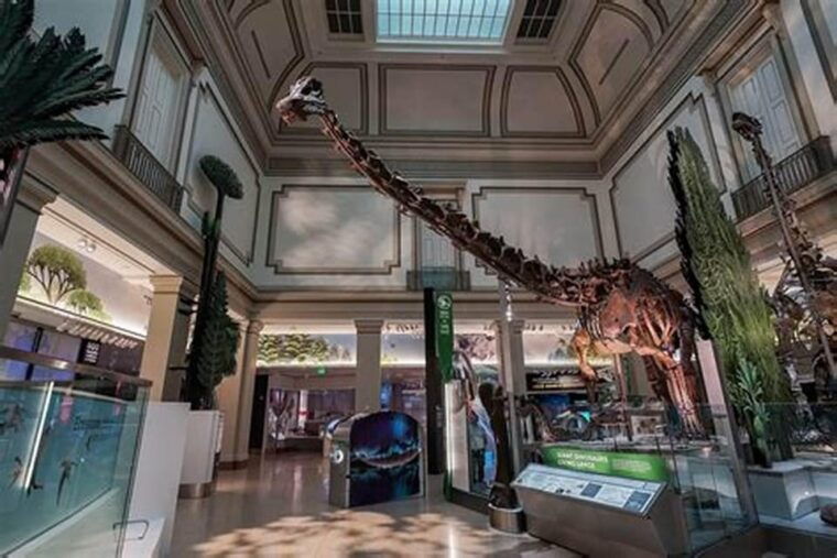 private-guided-tour-of-the-natural-history-museum
