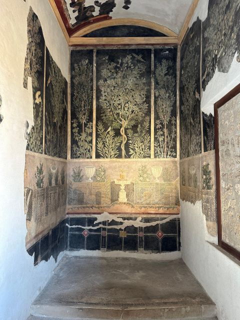 private-guided-tour-to-pompeii-excavations