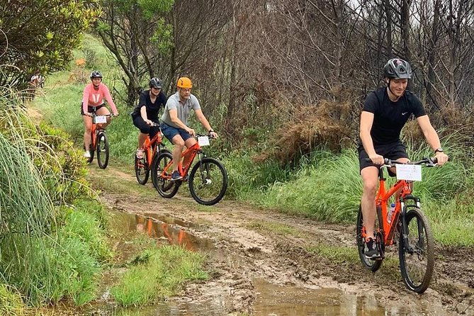 private-mountain-biking-adventure-in-sintra-cascais-park