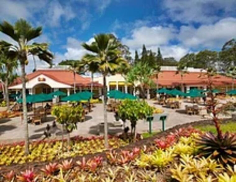 private-pearl-harbor-oahu-island-tour