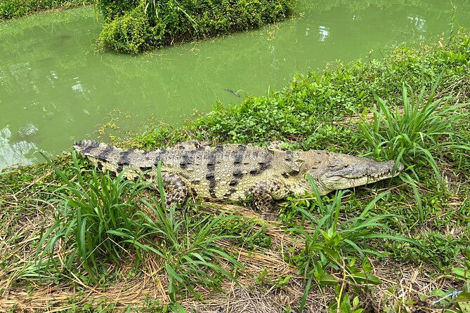 private-reptile-zoo-adventure-tour-with-guide-in-cartagena