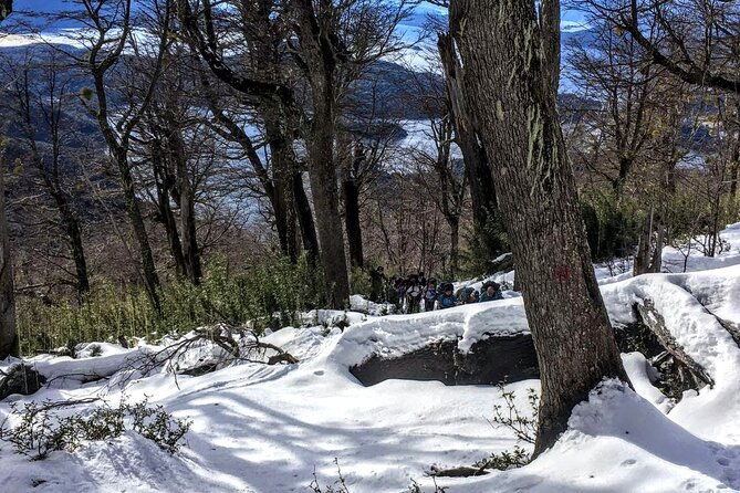 private-snowshoe-hiking-in-bariloche-in-winter