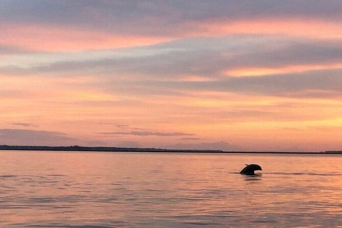 private-sunset-and-fireworks-dolphin-tour-6-people-max