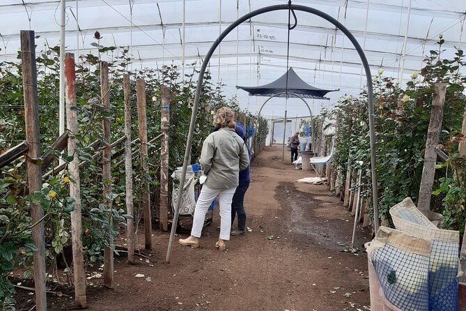 private-tour-papallacta-hot-springs-roses-farm-and-a-relaxe-hike