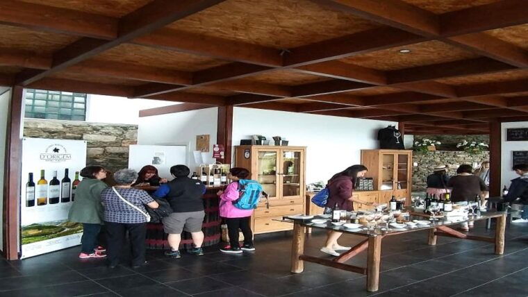 private-tour-to-stunning-douro-valley-and-renowned-wineries