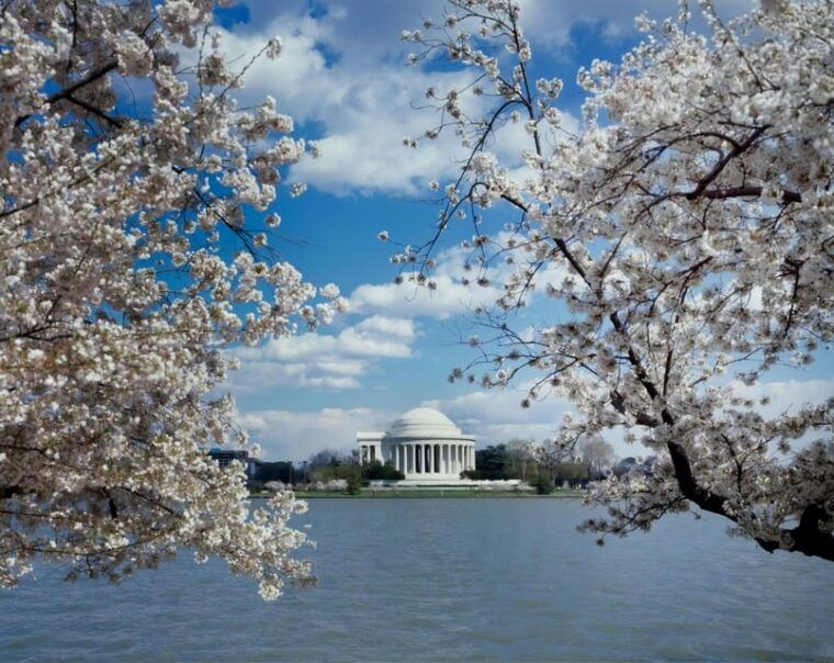 private-tour-washington-dc-luxury-suv-4h-self-guided