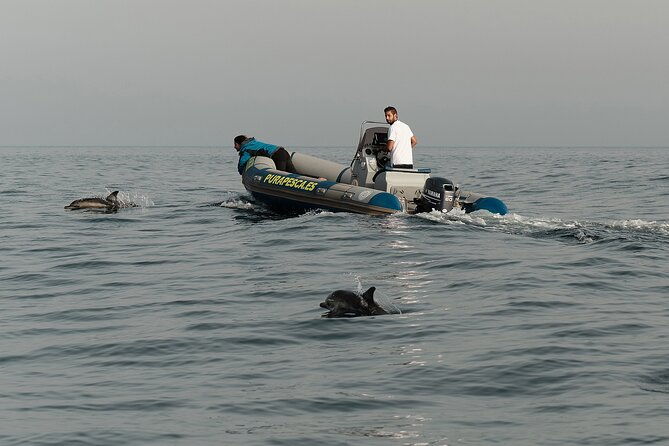 private-tour-with-dolphin-watching-in-algeciras-bay