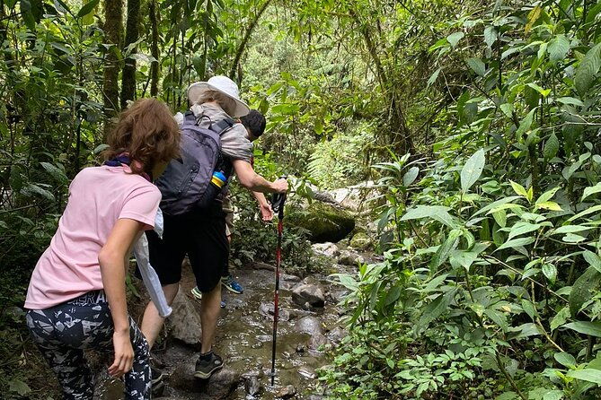 private-tour-with-guide-in-salento-and-cocora-valley-with-lunch