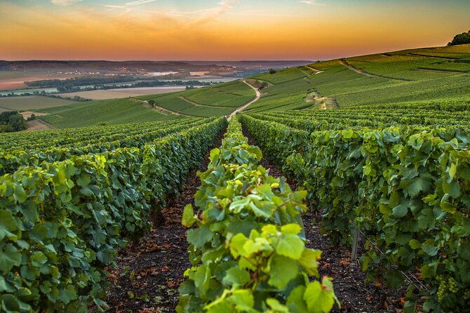 private-transfer-reims-champagne-to-paris-airport-cdg-by-van