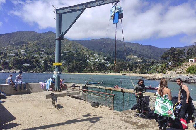 private-valparaiso-visit-penguins-island-horse-riding-picnic
