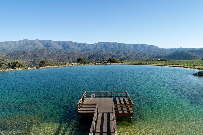 private-vineyard-tour-and-wine-tasting