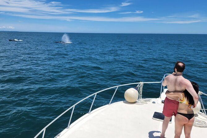 private-whale-watching-tour-at-the-pearl-islands-on-private-yacht