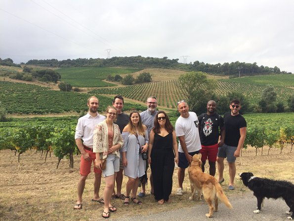 private-wine-day-tour-from-carcassonne-and-around