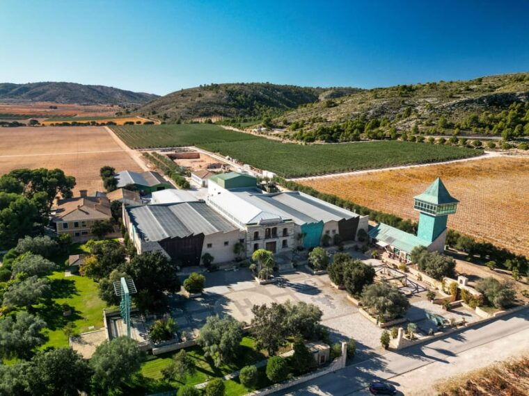 private-wine-tour-to-the-costa-blanca-wineries