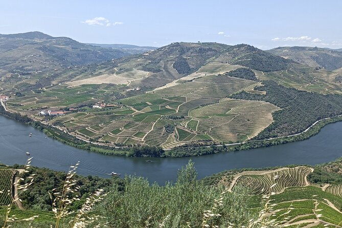 private-wine-tour