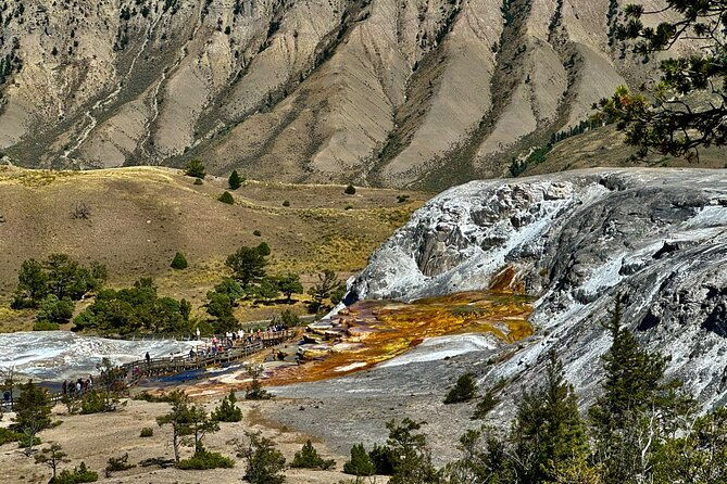 private-yellowstone-wildlife-and-photo-tours-west-yellowstone