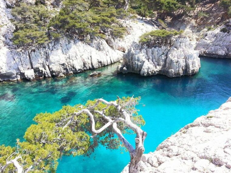 provence-private-tour-aix-en-provence-marseille-cassis