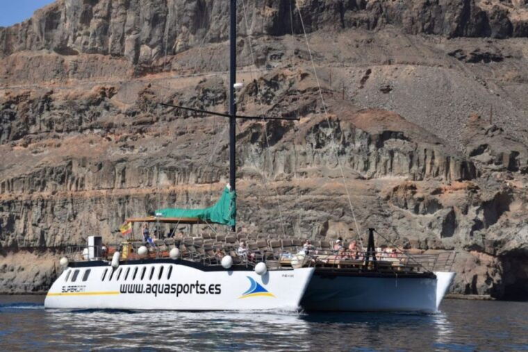 puerto-rico-de-gran-canaria-premium-dolphin-catamaran-tour