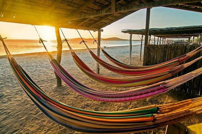 punta-gallina-guajira