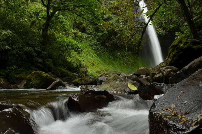 rainforest-chocolat-la-fortuna-waterfall-adventure