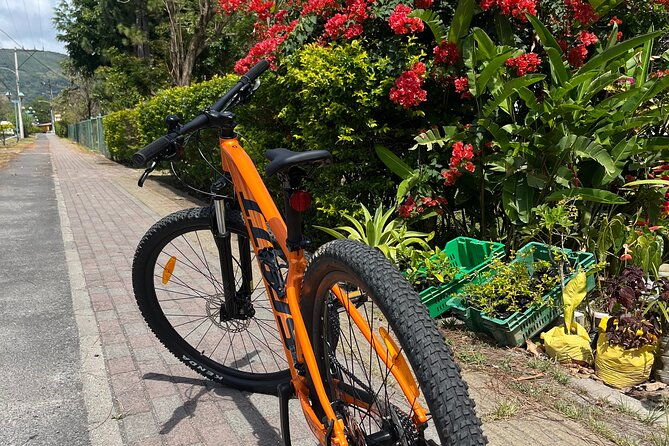 regular-bike-rental-by-e-valley-bikes