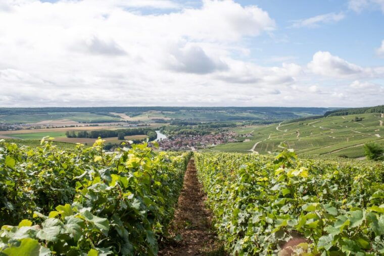 reims-champagne-house-mumm-winery-visit-with-lunch