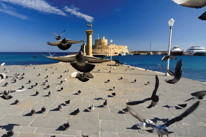 rhodes-lindos-butterfly-valley-private-half-day-excursion