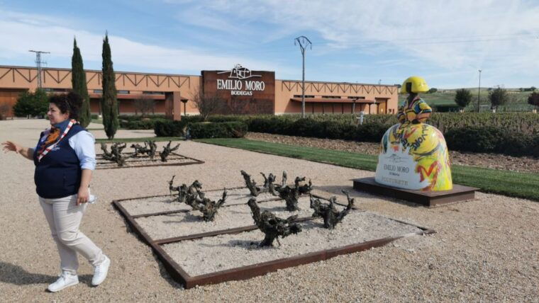 ribera-del-duero-wine-region-private-tour
