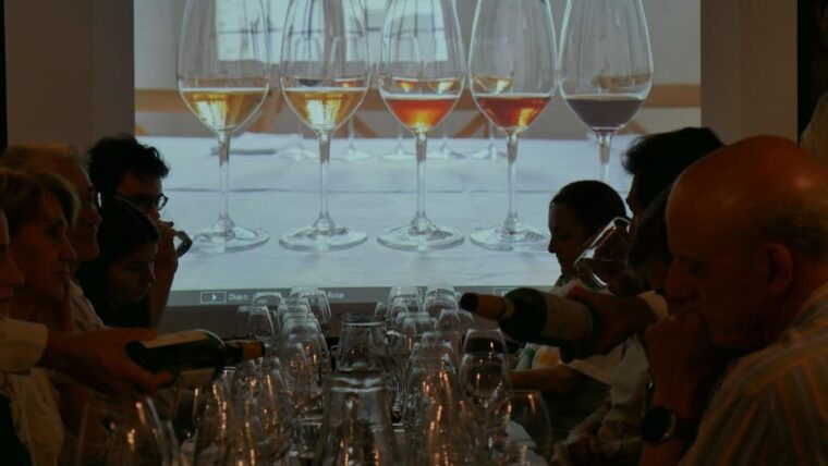 ribera-del-duero-wine-tasting-with-tapas-pairing