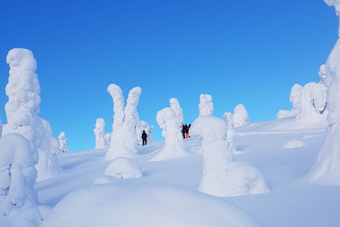riisitunturi-national-park-snowshoe-experience