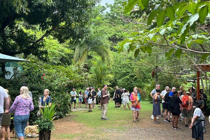 roatan-eco-caribbean-culture-park-and-beach