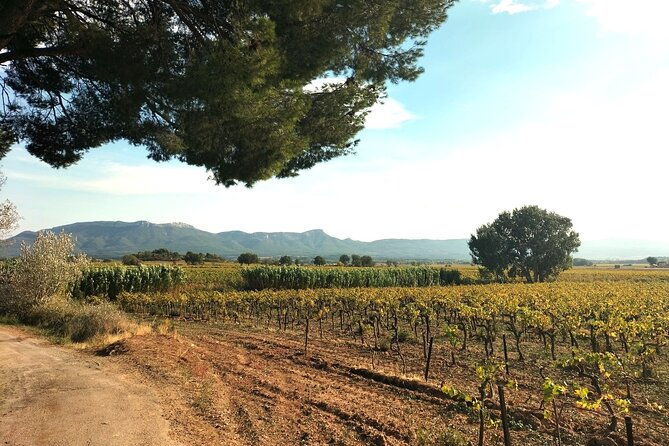 romantic-couples-day-to-relax-in-provence-off-the-beaten-path
