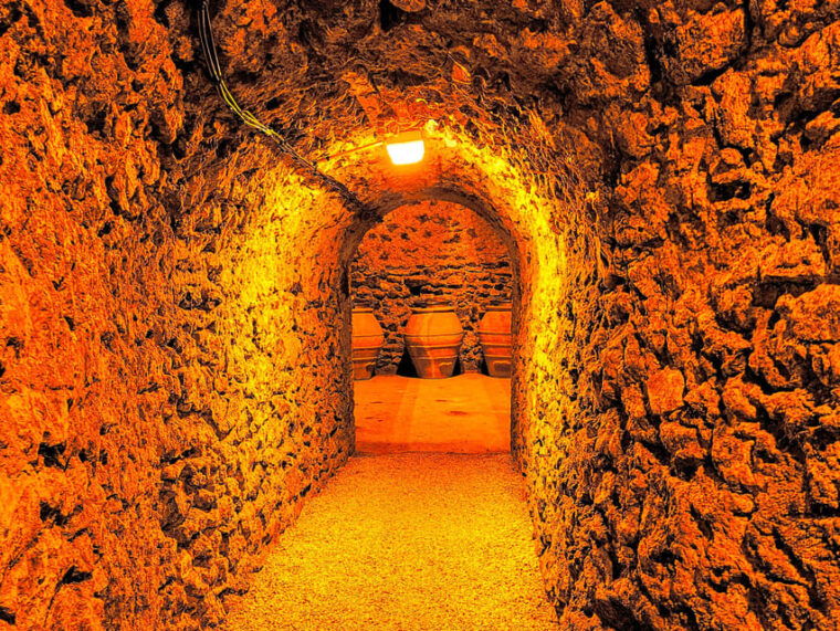 ruinart-tasting-and-fun-private-tour-in-champagne