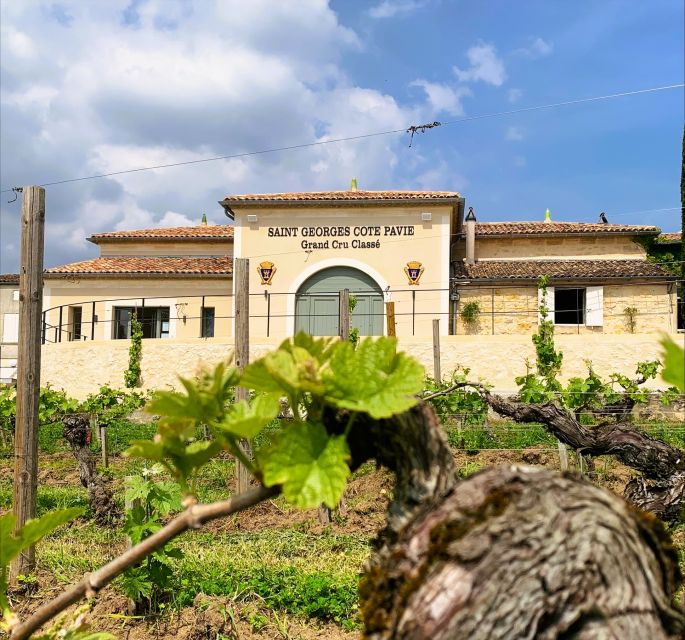 saint-emilion-bordeaux-vineyard-tour-and-wine-tasting