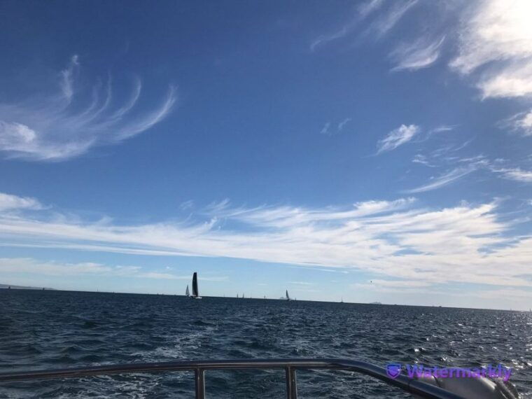 san-diego-half-day-marine-wildlife-tour-with-lunch-3