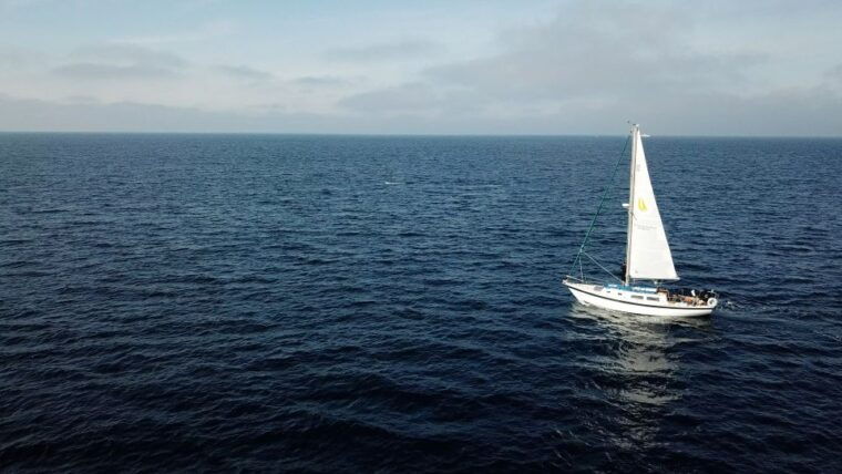 san-diego-private-2-hour-sailing-tour-for-3-6-people