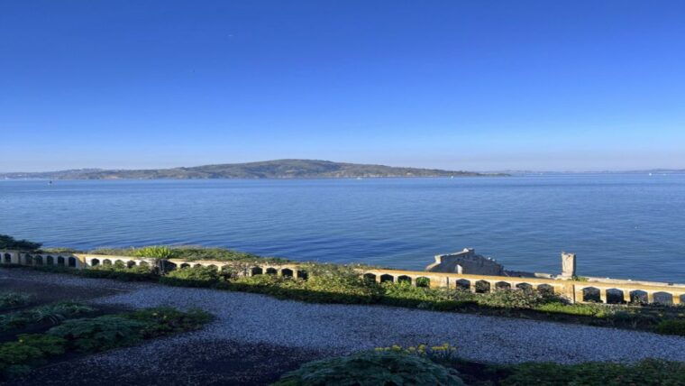 san-francisco-alcatraz-muir-woods-and-sausalito-day-tour