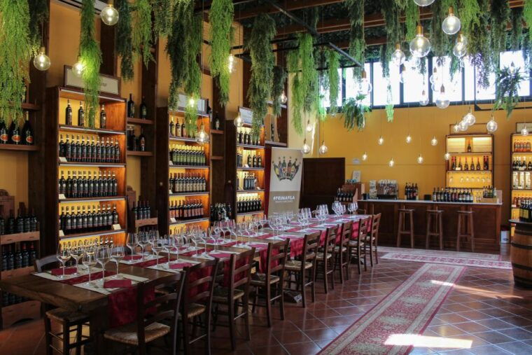 san-gimignano-2-hour-wine-gourmet-tasting-with-drinks