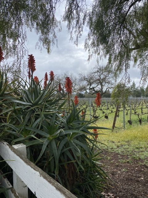 santa-barbara-wine-country-tour-with-lunch