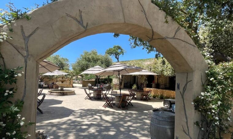 santa-barbara-wine-country-vineyards-villages-tour
