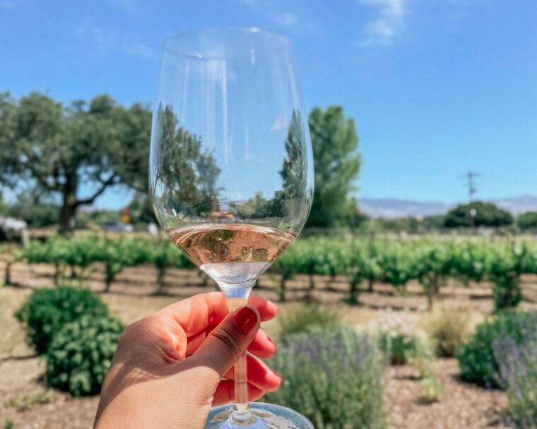 santa-ynez-wine-country-tour