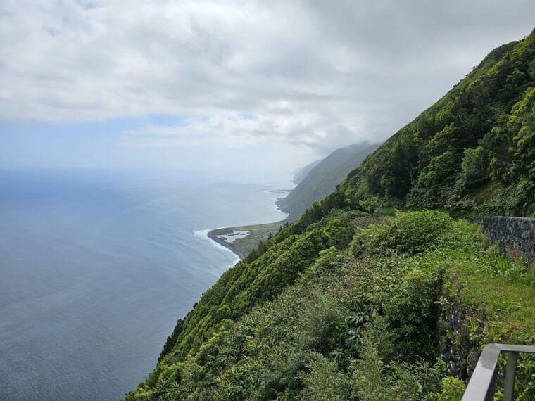 sao-jorge-island-forest-reserve-fajas-guided-tour