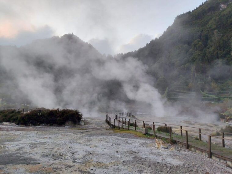 sao-miguel-furnas-full-day-tour-with-lunch-included