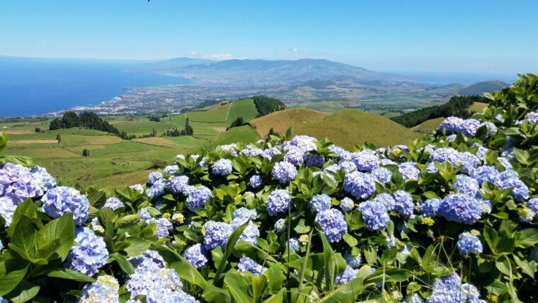 sao-miguel-sete-cidades-and-lagoa-do-fogo-full-day-tour