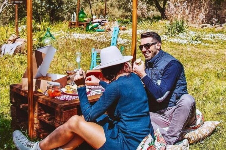 sardinian-olive-oil-tasting-picnic-among-the-olive-trees