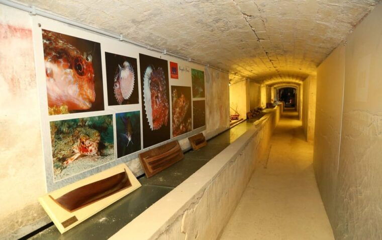 sassari-visit-the-sea-and-water-ecomuseum