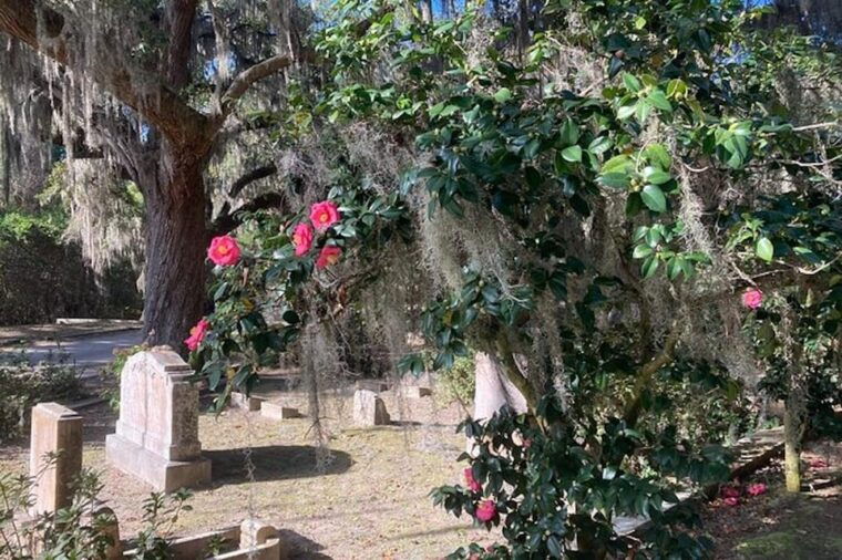 savannah-bonaventure-cemetery-golf-cart-guided-tour