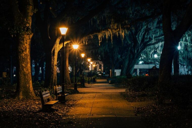 savannah-spirits-echoes-of-the-past