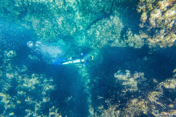 scuba-dive-in-the-west-end-of-roatan-with-private-transfer